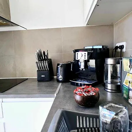 アパート Floor With Sea View, Clim And Veranda ニース